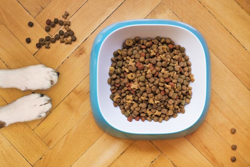 Dog Dry Food 1 kg