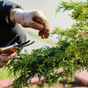 Garden Hand Tool Set