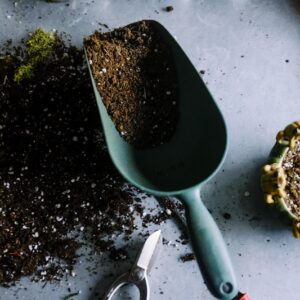 Potting Soil 5 kg