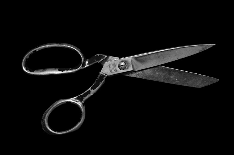Multi-purpose Utility Scissors
